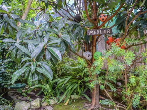 Mansion in Sorrento Near Marina Grande Beach