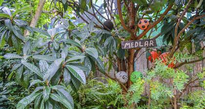 Mansion in Sorrento Near Marina Grande Beach