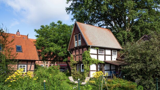 A traditional half-timbered house with a sloped roof, surrounded by lush greenery and flowering plants. - Heritage Holiday Home in Wienhausen near River (Wienhausen)