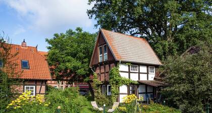 Heritage Holiday Home in Wienhausen near River