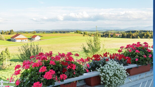 A balcony with flower planters, a view of a rural landscape with houses and fields, and distant mountains. - Bright Alpine Retreat (Ingenried)