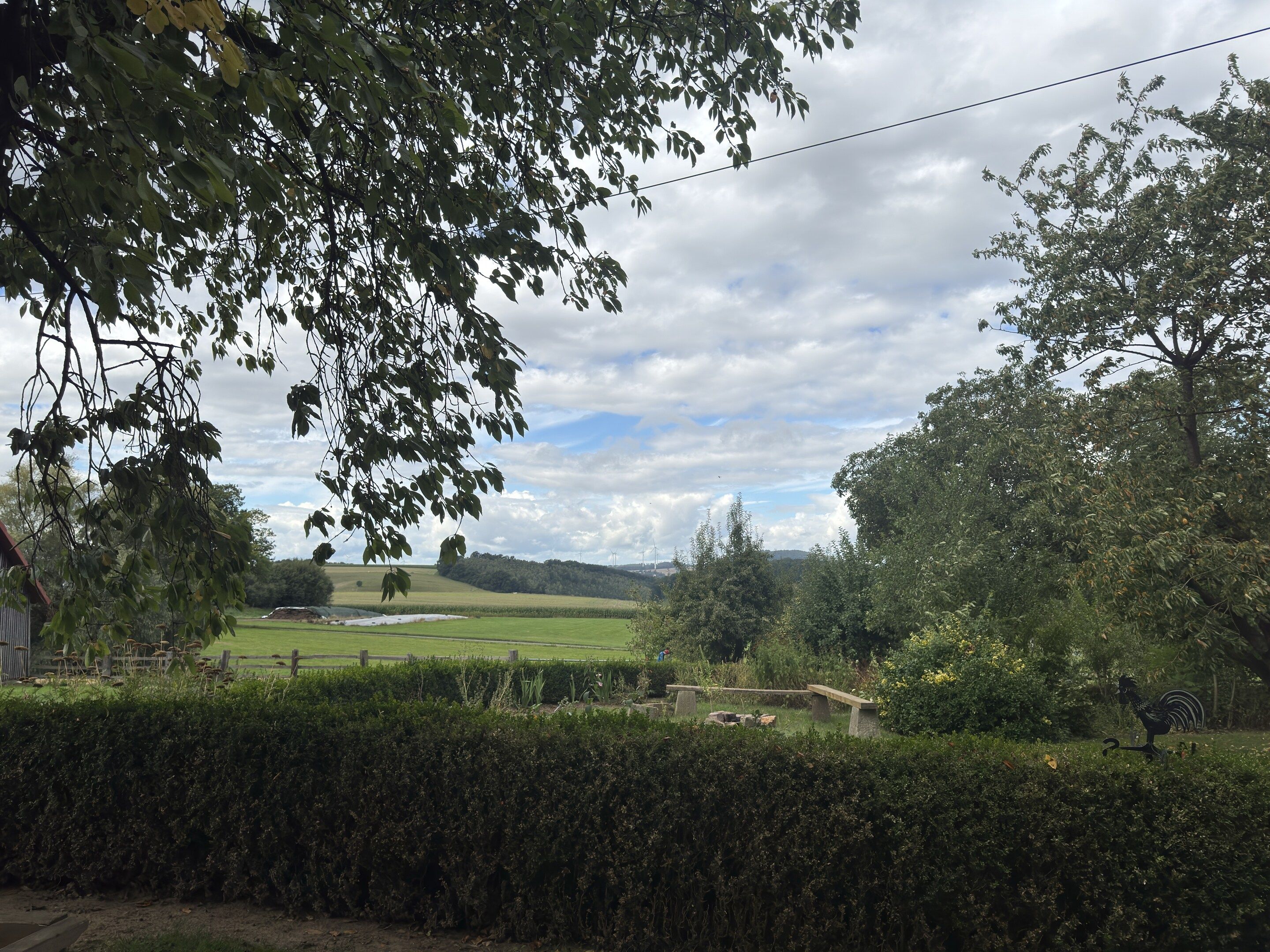 Paisagem rural com uma sebe, um campo e uma colina ao longe.