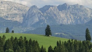 A mountainous landscape with a grassy hill and a single tree in the foreground. - Gemutliche Ferienwohnung, Lechbruck (Lechbruck)