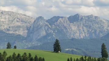 Apartment | View from property