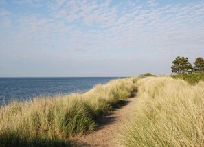 Un sendero costero con hierba alta y una vista despejada del mar.