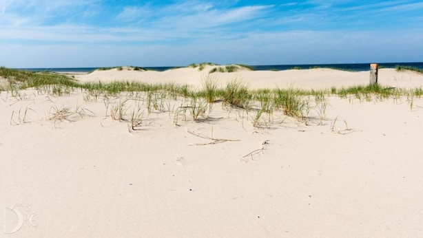 Une plage avec des dunes de sable et un poteau en bois.