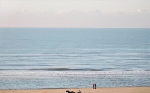 House | View from property - Holiday Home Egmond Near Beach (Egmond aan Zee)
