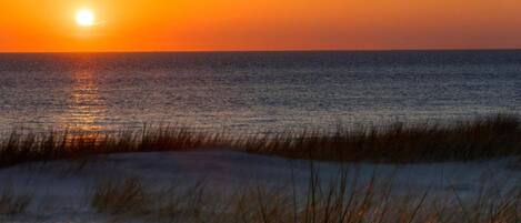 Ferienhaus | Blick von der Unterkunft