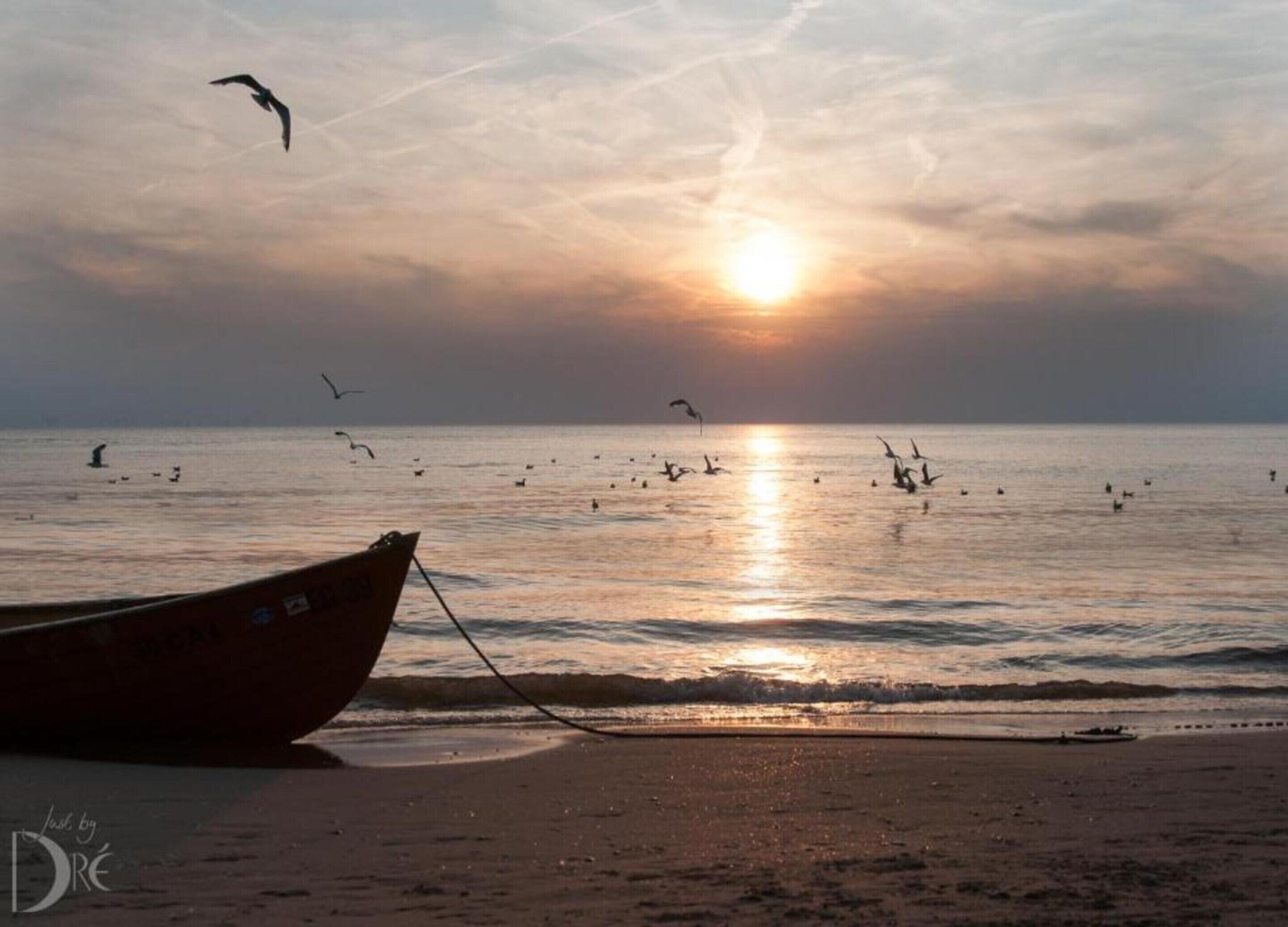 House | View from property