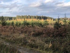 Cottage | View from property