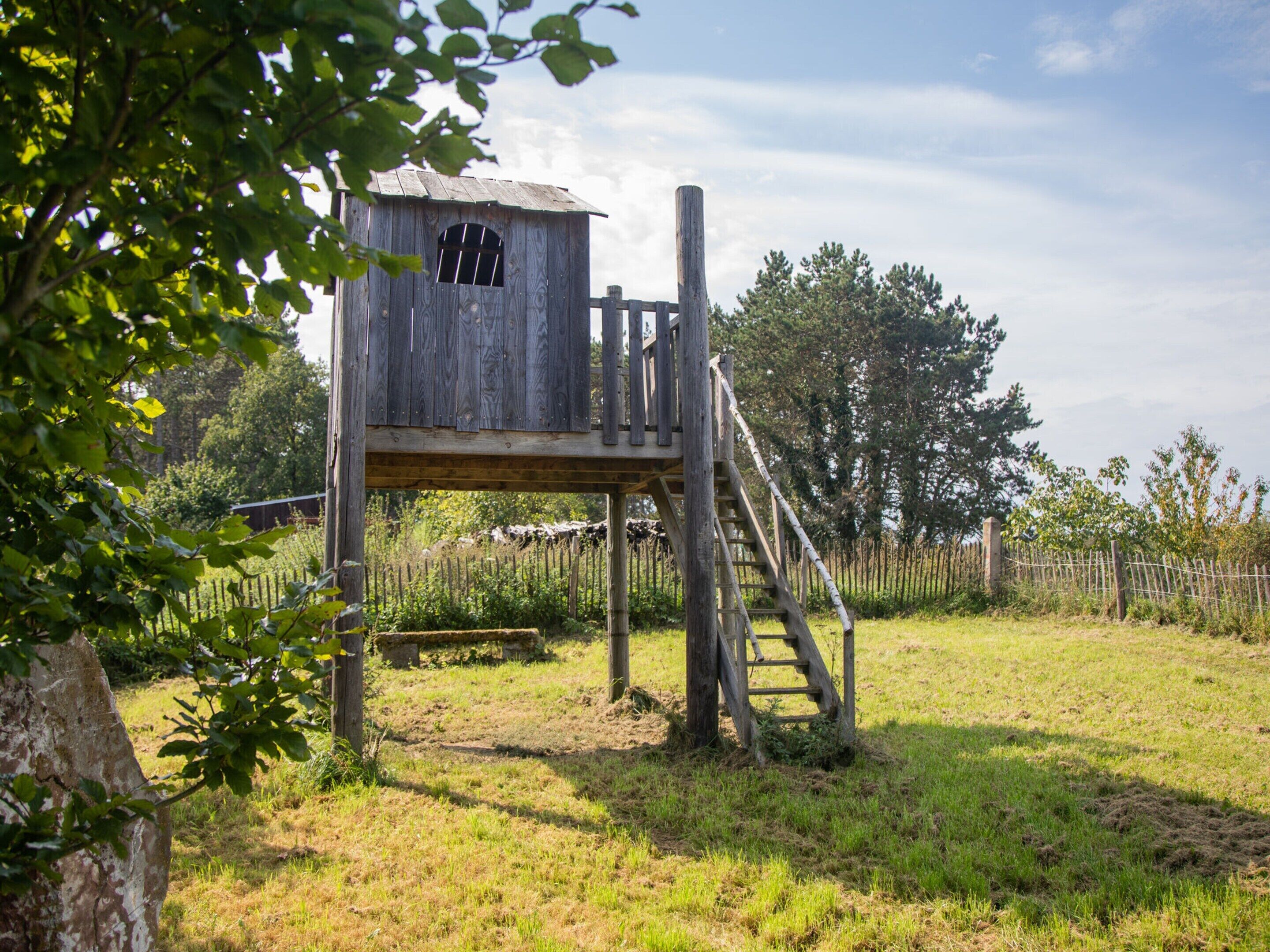 A wooden birdhouse with a platform and ladder, surrounded by a grassy field and trees.