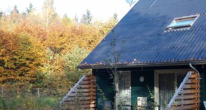 Semi-detached House With a Dishwasher, at 9 km van Slagharen