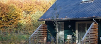 Semi-detached House With a Dishwasher, at 9 km van Slagharen