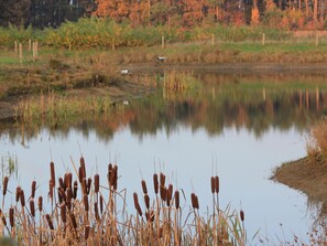 Udendørsområde