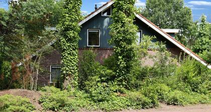 Delightful Holiday Home in Winterswijk With Infrared Sauna
