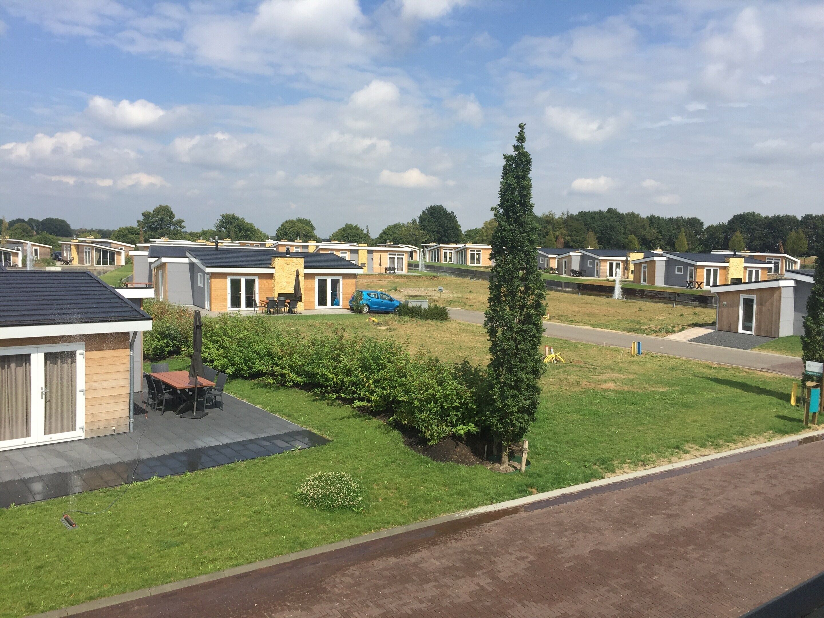 A row of modern mobile homes with a grassy yard and a tall tree in the foreground.