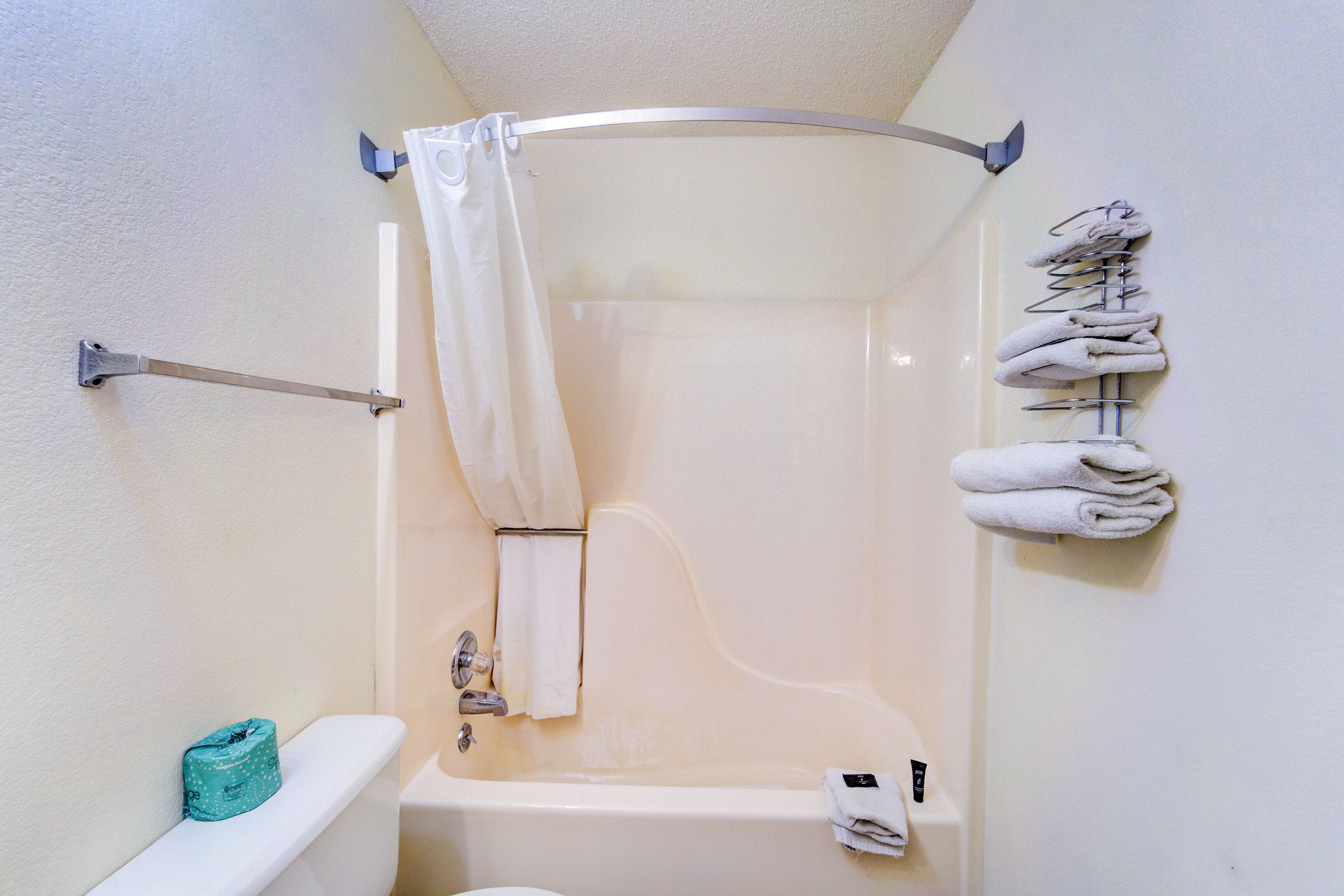 A bathroom with a shower, toilet, and towel rack.