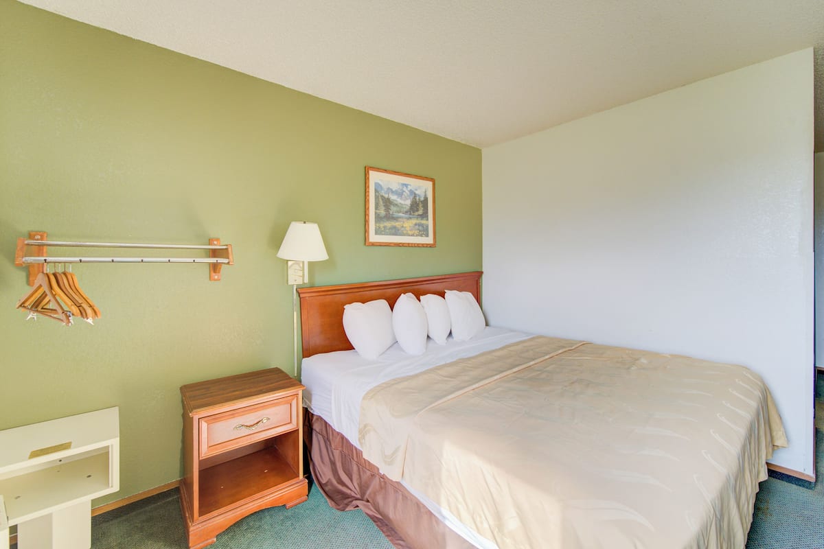 Room, 1 Queen Bed, Non Smoking | In-room safe, desk, iron/ironing board, free WiFi