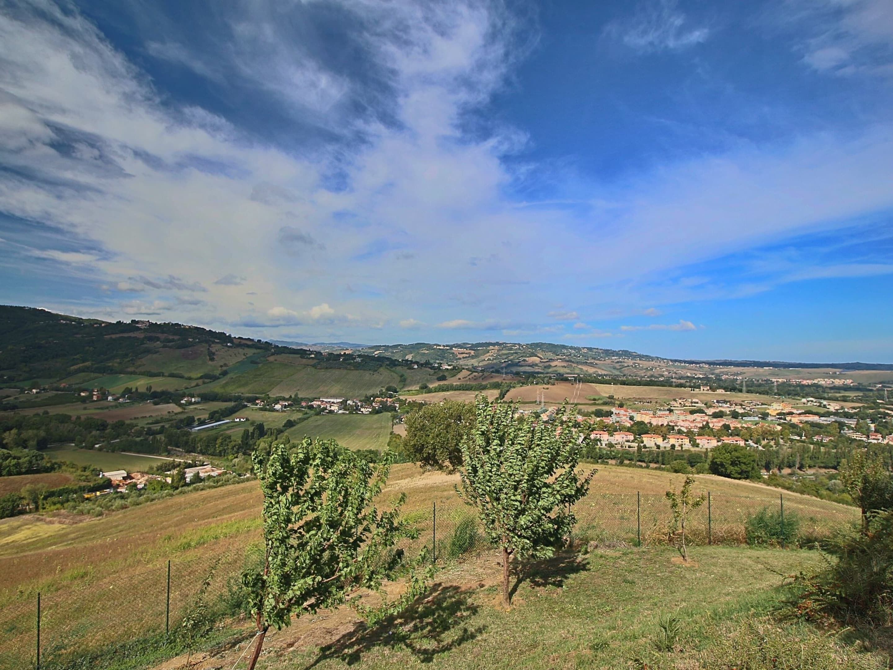 A rural landscape with rolling hills, scattered houses, and vineyards.