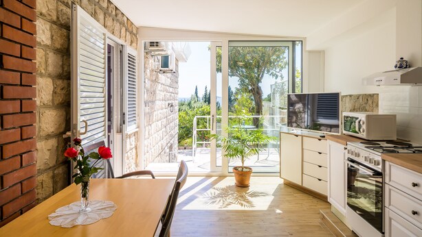 Une cuisine avec une table en bois, une plante en pot et une vue sur l’extérieur.
