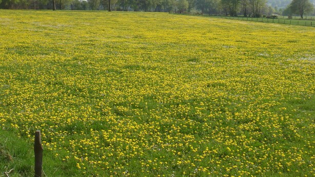 Oklassificerad bild, 1 av 15, knapp