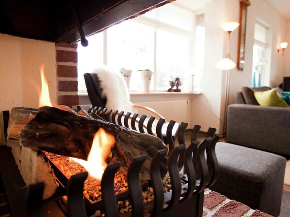 Fireplace, DVD player - Lovely Holiday Home in Bergen With Meadow View (Bergen)