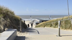 Niet-geclassificeerde afbeelding, 3 van 34, knop