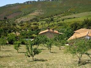 Ferienhaus | Blick von der Unterkunft