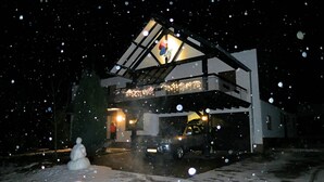 A modern house with a garage, a snowman, and snow on the ground. - Gruppenfreundliche Villa in Liesen (Hallenberg)