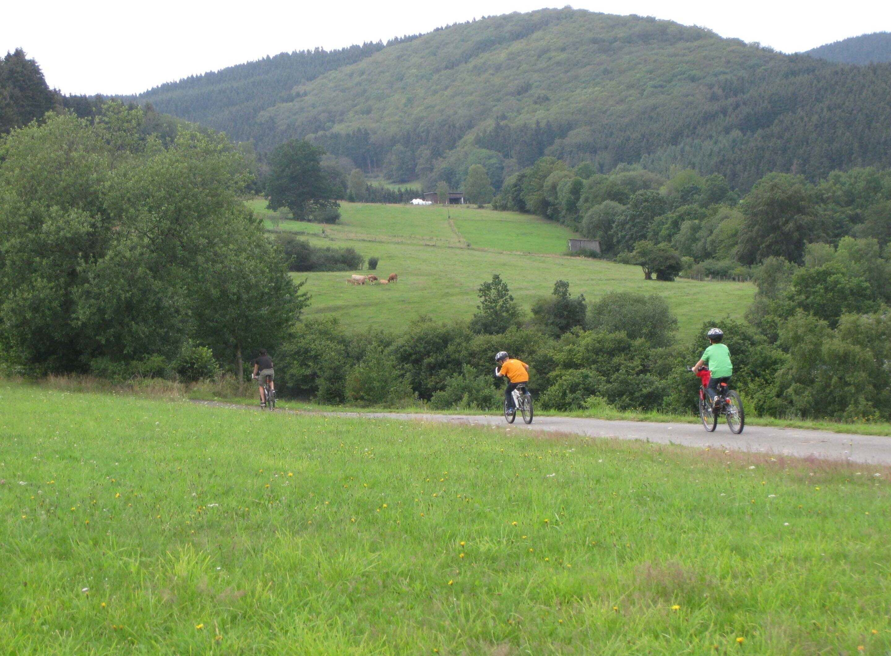 A rural landscape with a road, green fields, and hills in the background.