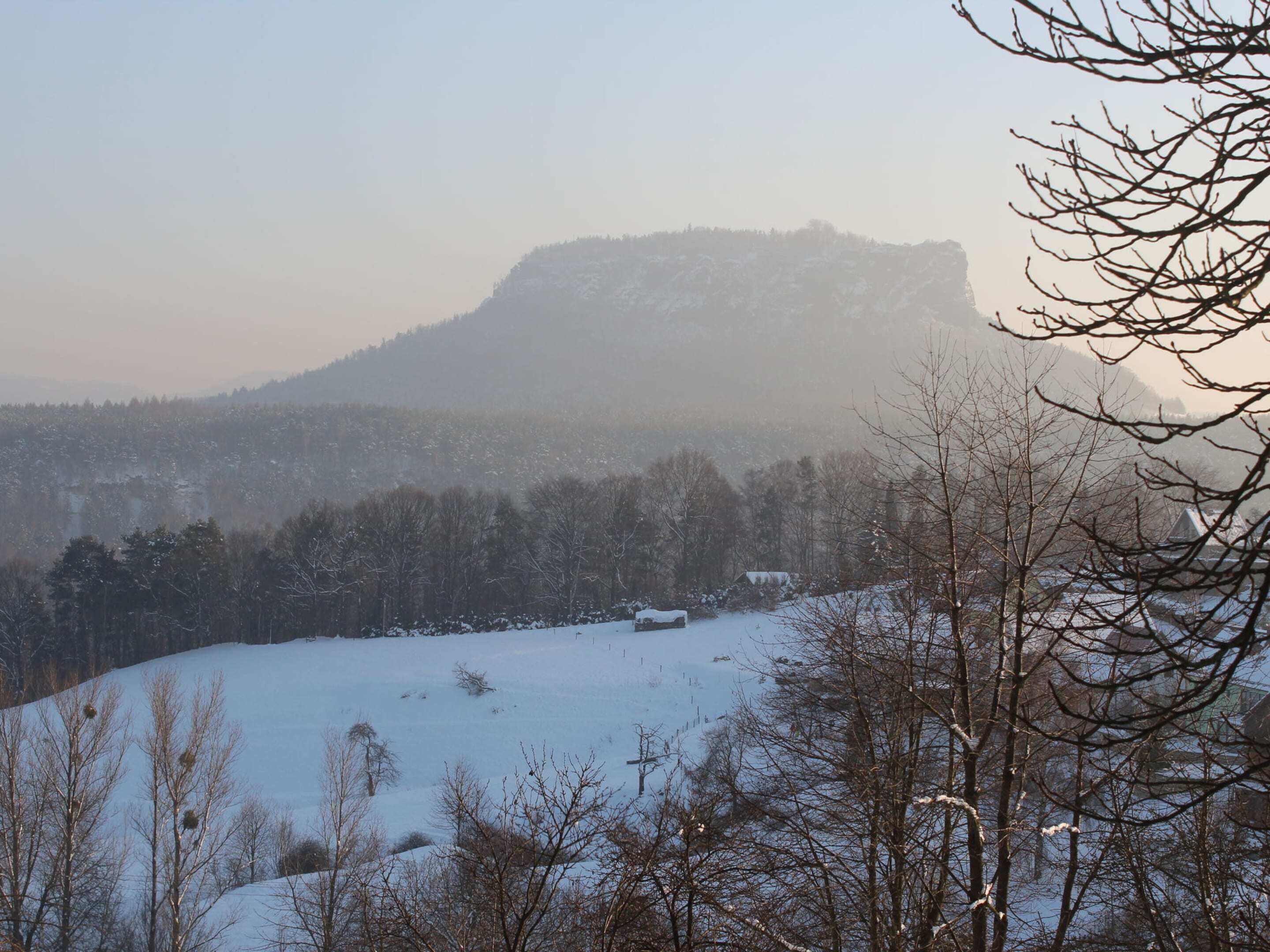 A snow-covered landscape with a mountain in the background and leafless trees in the foreground.