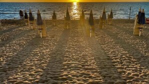 Une plage où les parasols sont alignés en rangées, face à l’océan, au coucher du soleil.