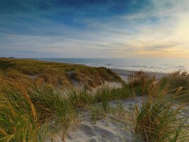 House | View from property