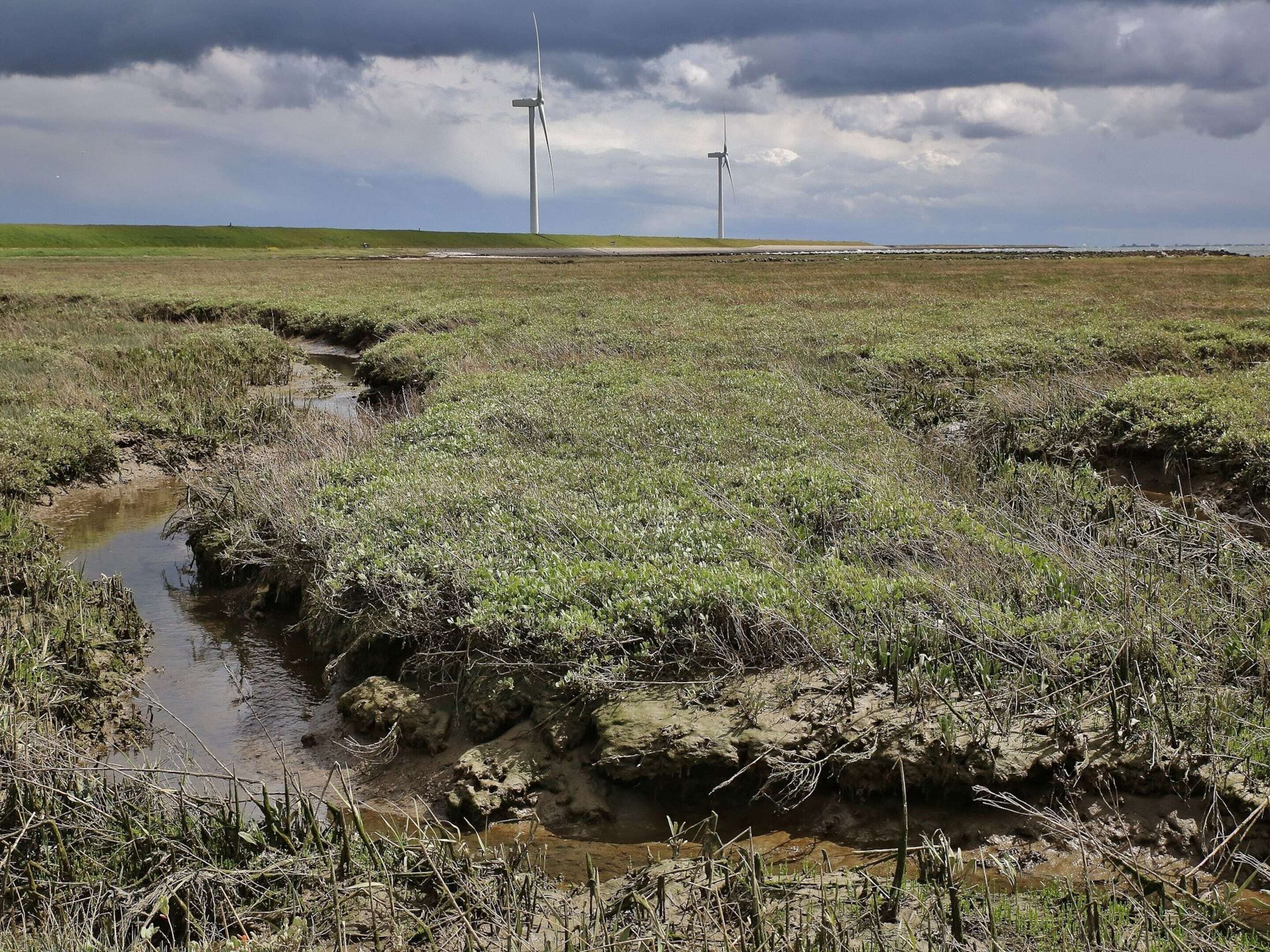 A flat landscape with a small water body and two wind turbines in the distance.