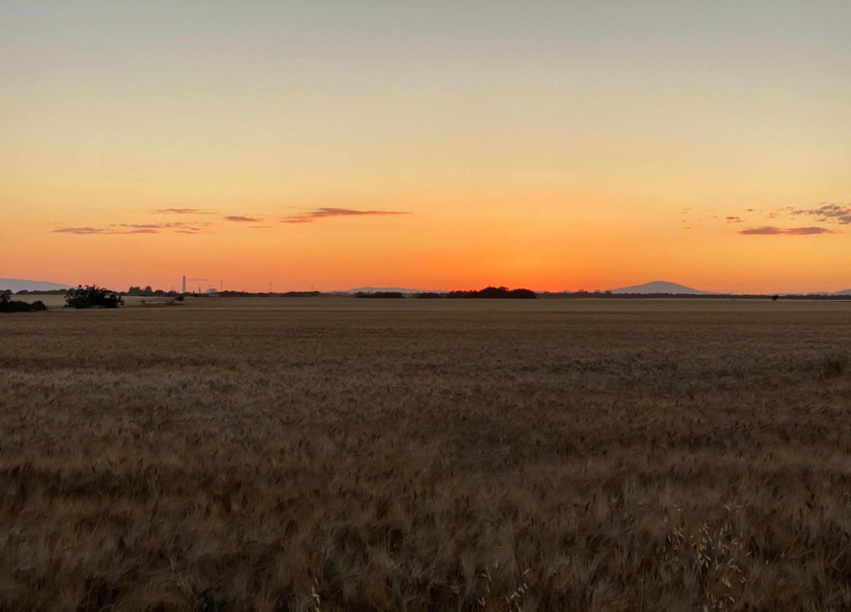 Un campo abierto con un horizonte despejado y colinas lejanas.
