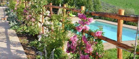 Hus | Pool | Utomhuspool