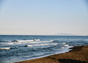 House | View from property - Farmhouse Near Montalto di Castro Beaches (Montalto di Castro)