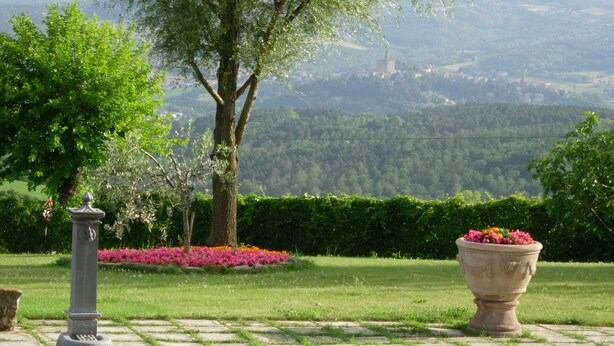 Un jardin avec un chemin de pierres, un grand arbre et un parterre de fleurs.
