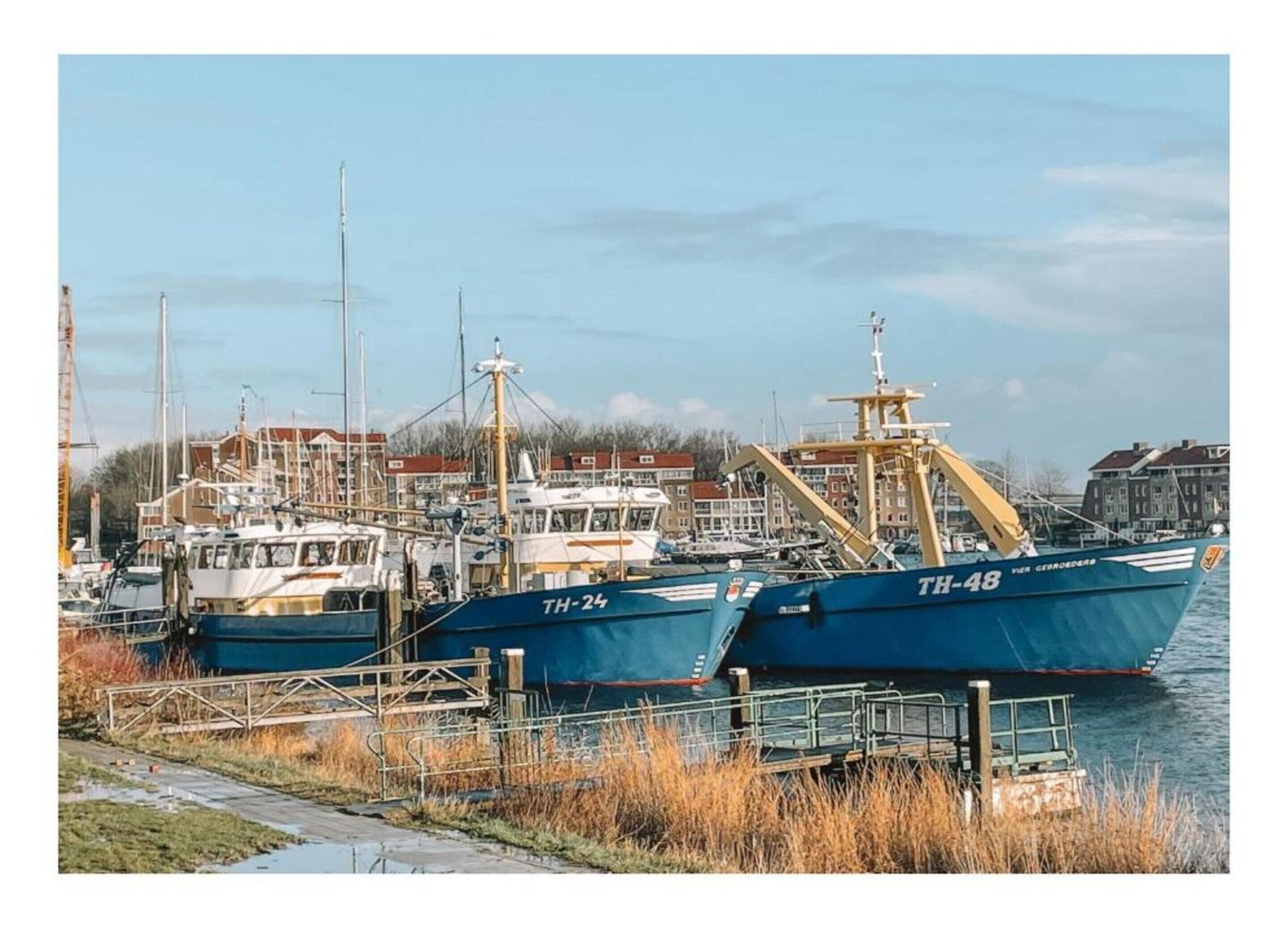 Huis | Uitzicht vanuit accommodatie