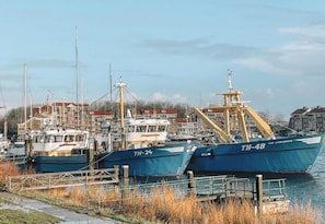 Ferienhaus | Blick von der Unterkunft