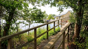 A wooden bridge leading to a building with a sloped roof, surrounded by lush greenery and a body of water. - Villa Oesterdam Deluxe Sleeps 8 (Tholen)