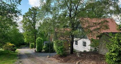 Tidy House With Sauna and Steam Bath, in a Forest