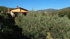 Ein Haus mit rotem Dach, umgeben von dichter Vegetation und Hügeln im Hintergrund.