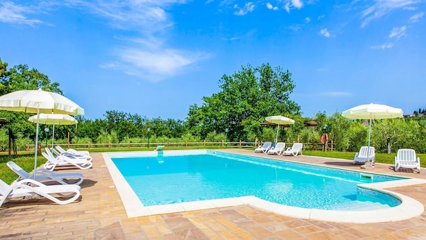 A rectangular swimming pool with a tiled deck, surrounded by white lounge chairs and umbrellas. - Rustic Farmhouse in Terricciola (Terricciola)