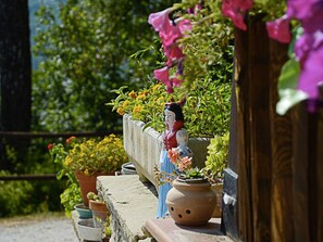 Exterior - Cottage in Marche With Pool and Forest Views (Apecchio)