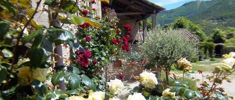 House | Interior detail