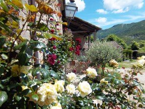Interior detail - Tuscan Charm With Pool & Views (San Godenzo)