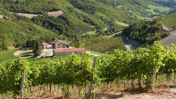Apartment | Property grounds - Cozy Apartment in Modigliana With Vineyard Views (Modigliana)