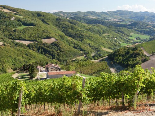 Cozy Apartment in Modigliana With Vineyard Views