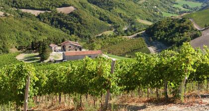 Cozy Apartment in Modigliana With Vineyard Views